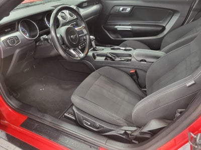 2019 Ford Mustang GT Fastback