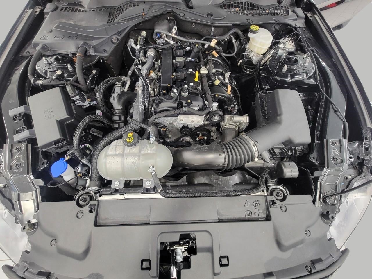 2022 Ford Mustang EcoBoost Premium Fastback