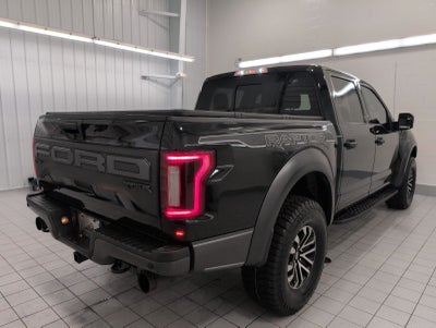 2019 Ford F-150 Raptor 4WD SuperCrew 5.5' Box