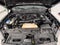 2019 Ford F-150 Raptor 4WD SuperCrew 5.5' Box