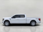 2026 Ford F-150 XLT 4WD SuperCrew 6.5' Box