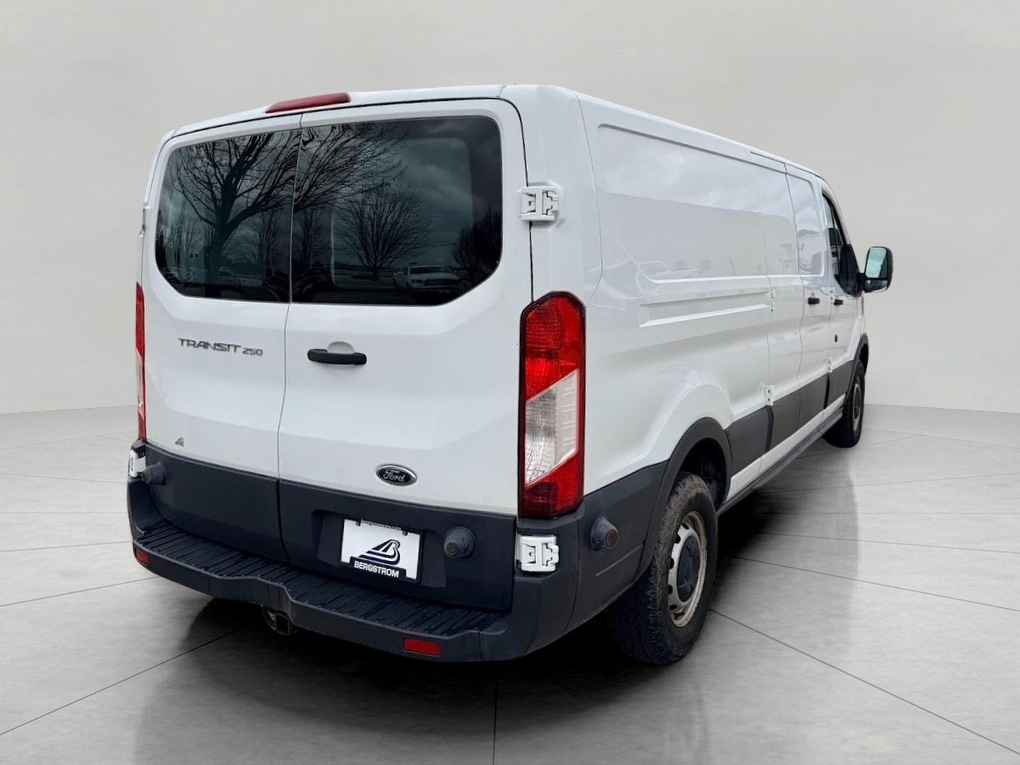 2015 Ford Transit Cargo Van T-250 148 Low Rf 9000 GVWR Swing-Out RH Dr